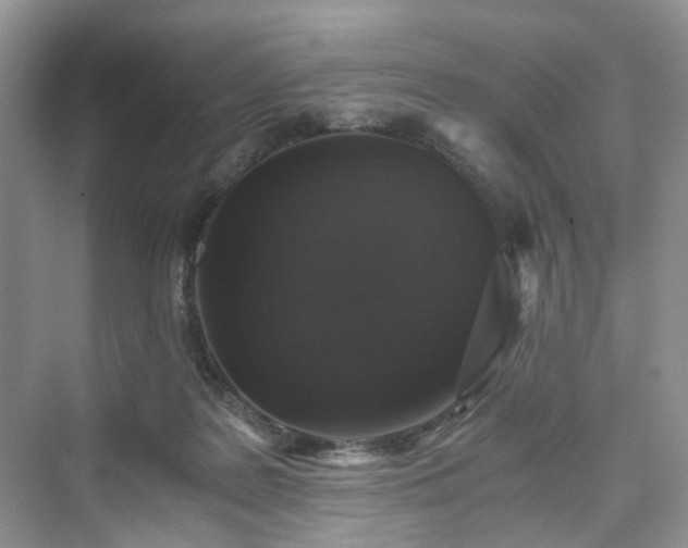 X0000076080219200609291259