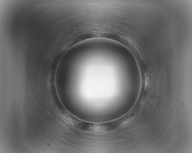 X0000076080221200609291259