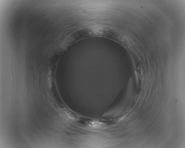 X0000076080223200609291259