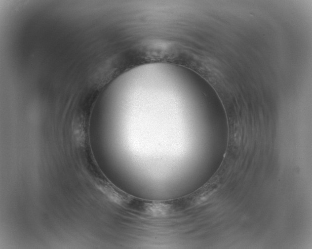X0000076080226200609291259