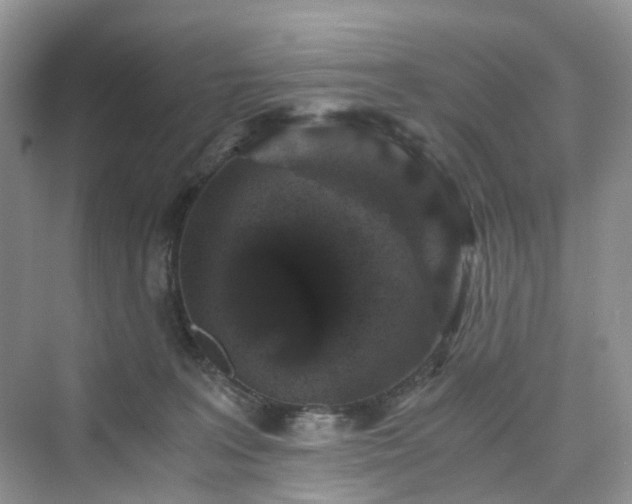 X0000076080227200609291259