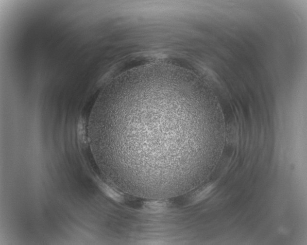 X0000076080238200609291259