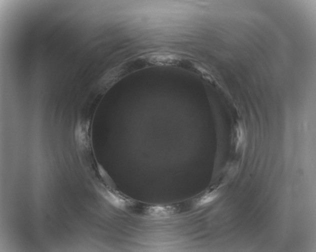 X0000076080239200609291259