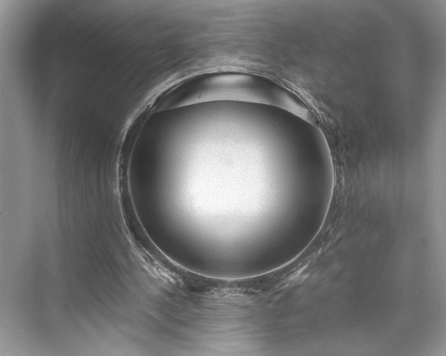 X0000076080244200609291258