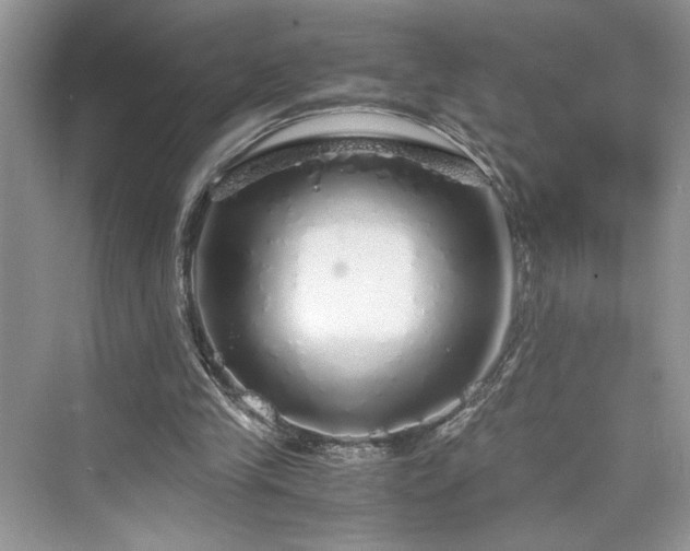 X0000076080245200609291258