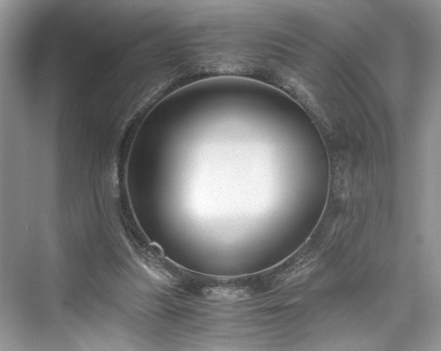 X0000076080251200609291258