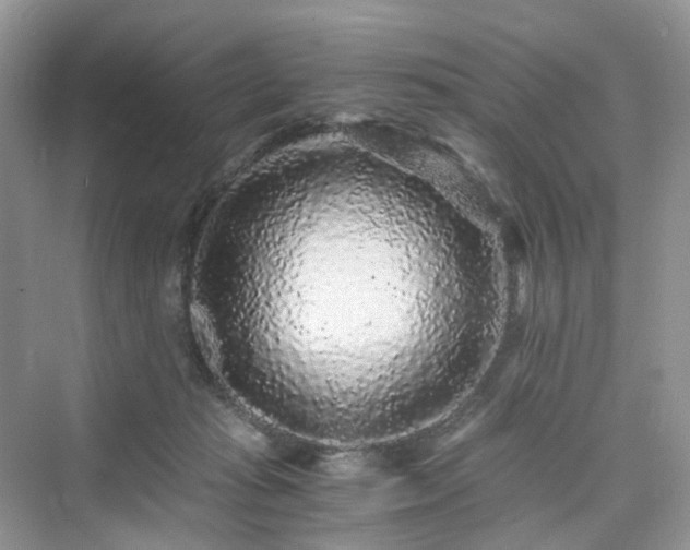X0000076080269200609291259