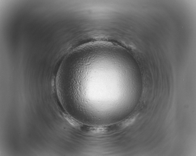 X0000076080288200609291259