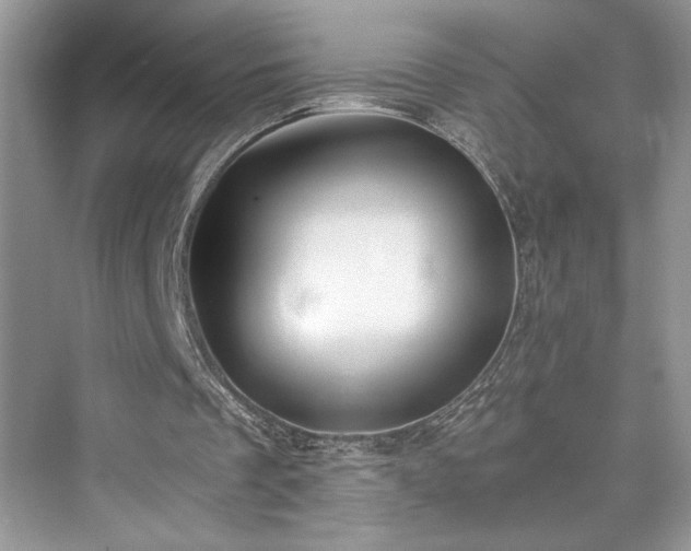 X0000076080289200609291258