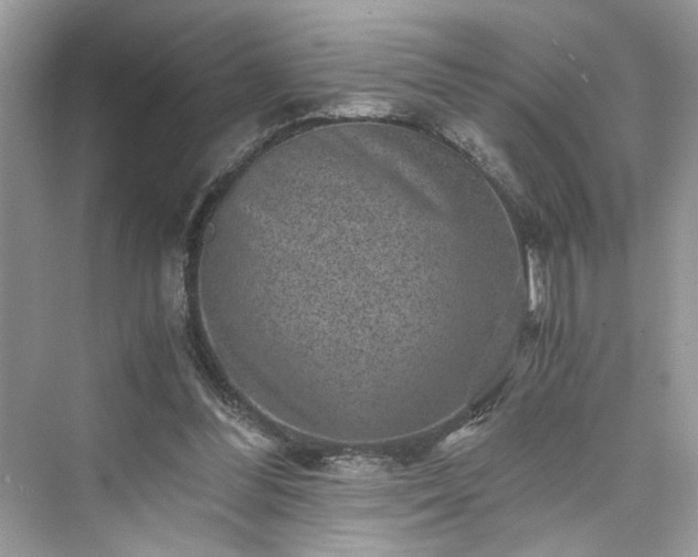 X0000076080300200609291258