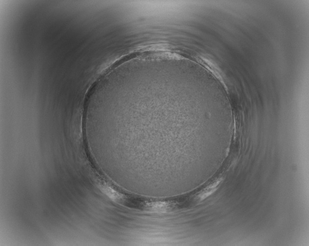 X0000076080301200609291258
