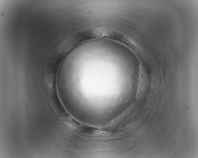 X0000076080315200609291258