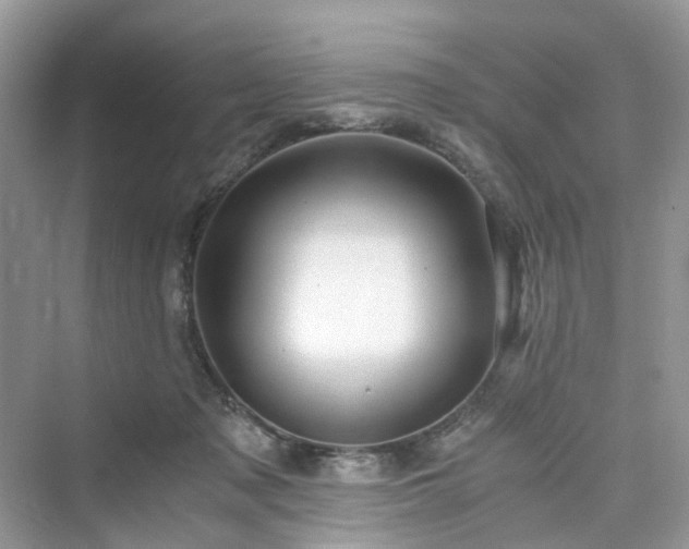X0000076080317200609291258