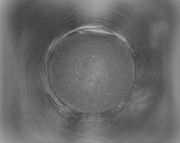 X0000076080337200609291256