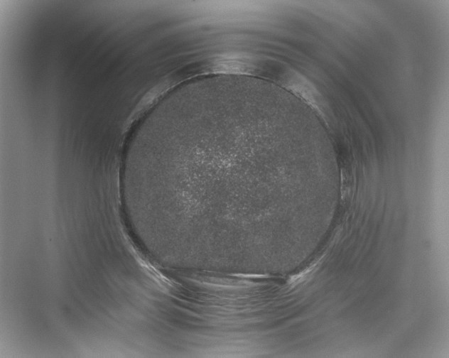 X0000076080349200609291257
