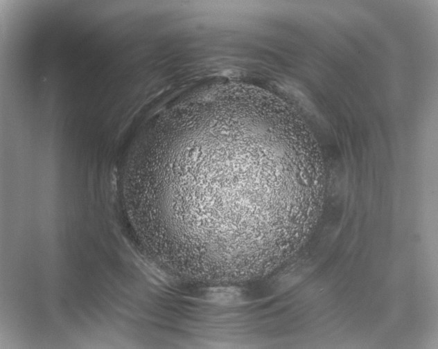 X0000076080363200609291257