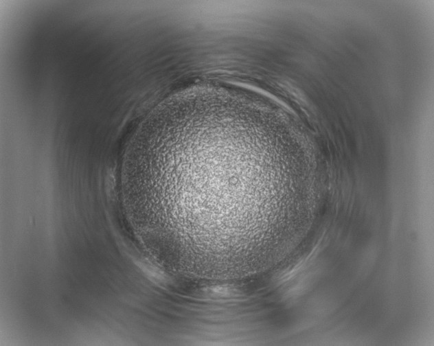 X0000076080365200609291257