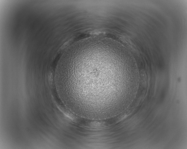 X0000076080375200609291257
