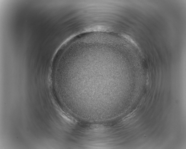 X0000076080392200609291256