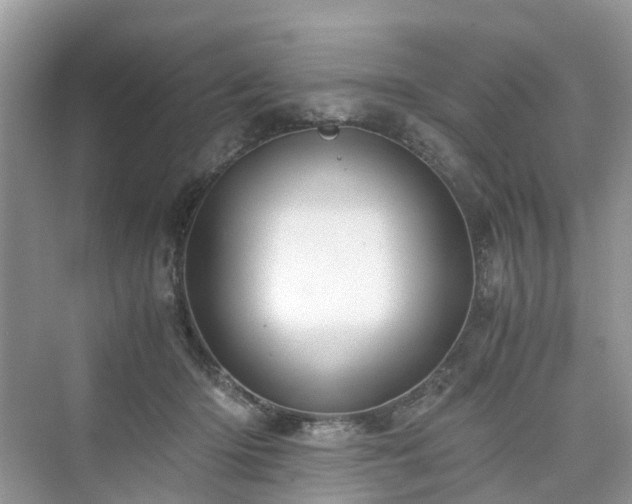 X0000076080414200609291256