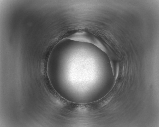 X0000076080416200609291256