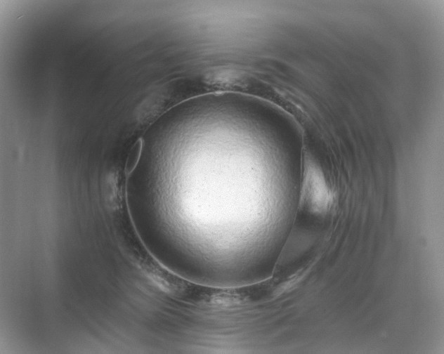 X0000076080420200609291256