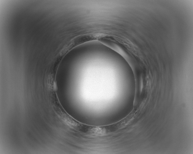 X0000076080421200609291256