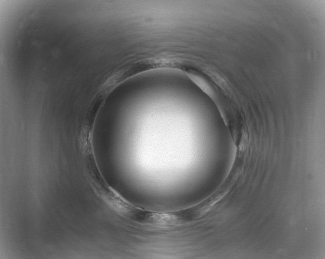 X0000076080429200609291256
