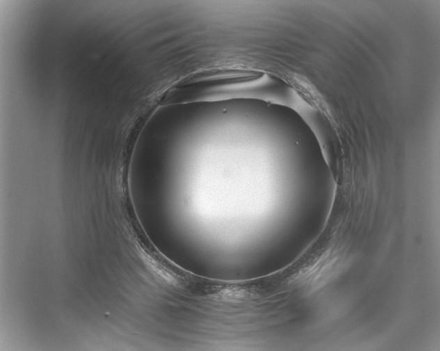 X0000076080441200609291255