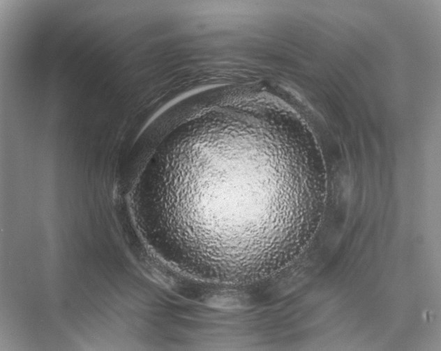 X0000076080459200609291255