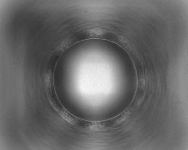 X0000076080468200609291255
