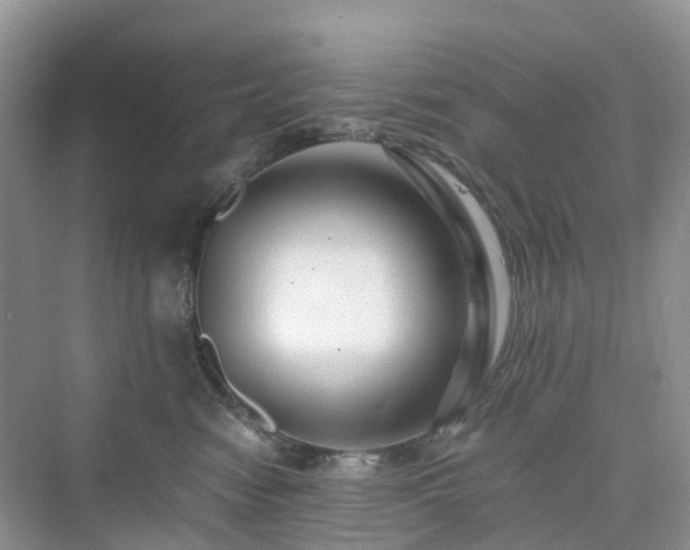 X0000076080474200609291256