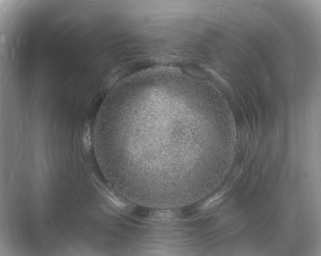 X0000076080479200609291256