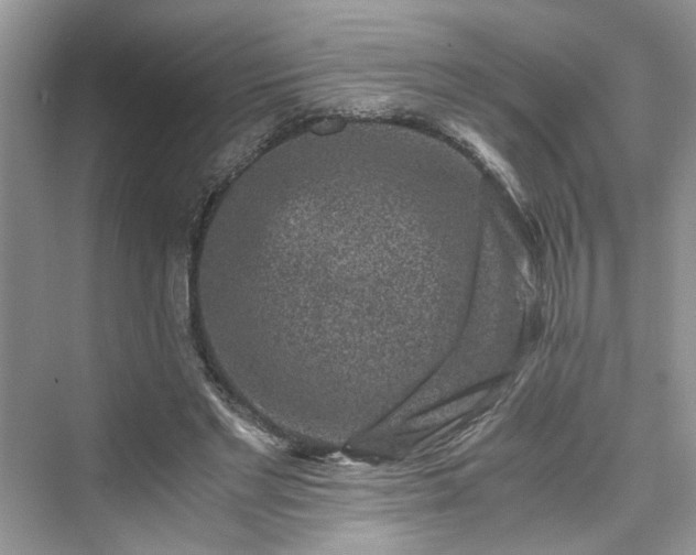 X0000076080493200609291255