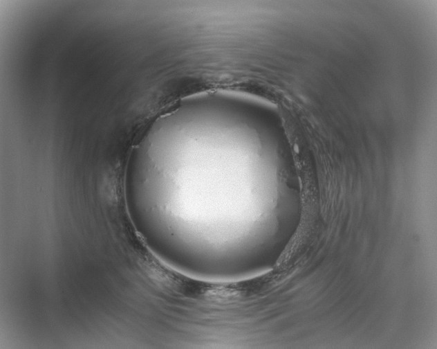 X0000076080515200609291254