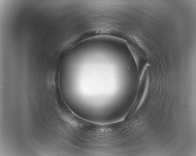 X0000076080543200609291253