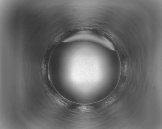 X0000076080558200609291254
