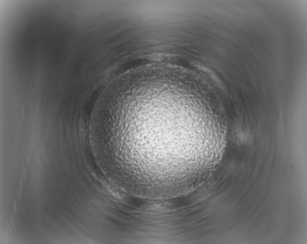 X0000076080569200609291254