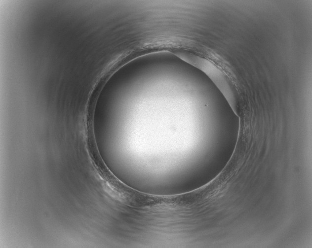 X0000076080578200609291253