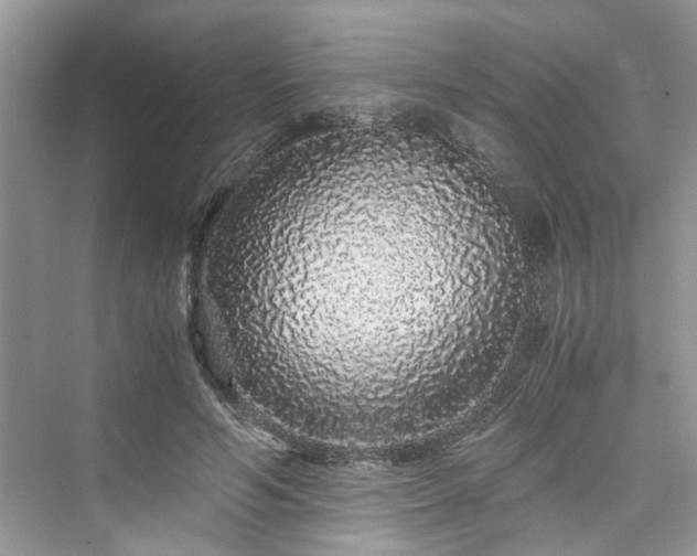 X0000076080594200609291253
