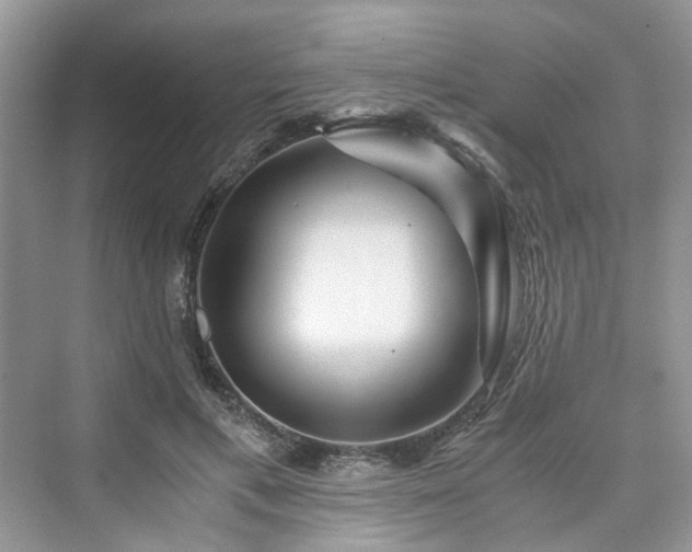 X0000076080597200609291253
