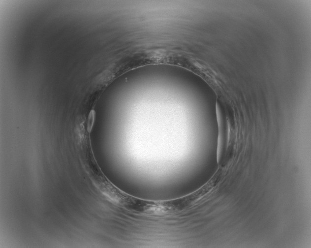X0000076080611200609291253