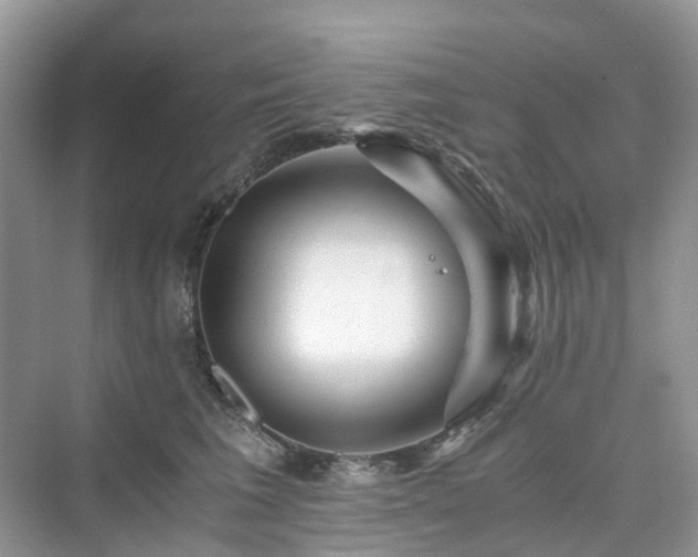 X0000076080613200609291253
