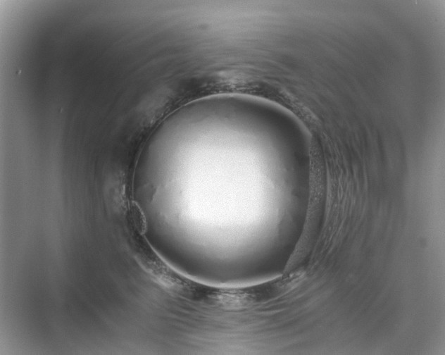 X0000076080615200609291253