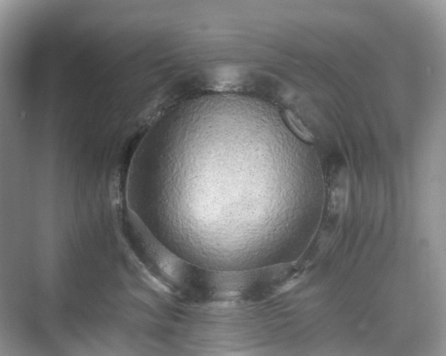 X0000076080620200609291253
