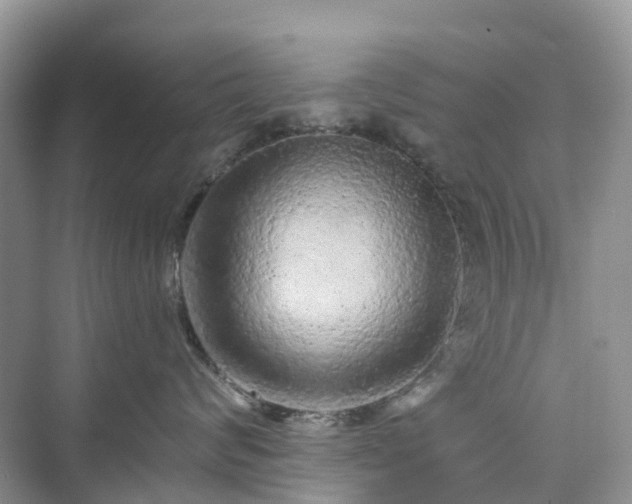X0000076080624200609291252