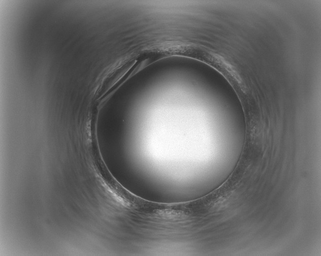 X0000076080633200609291252