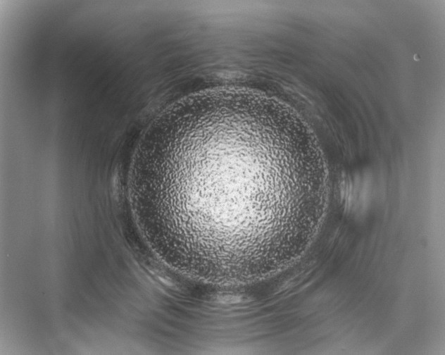 X0000076080651200609291252
