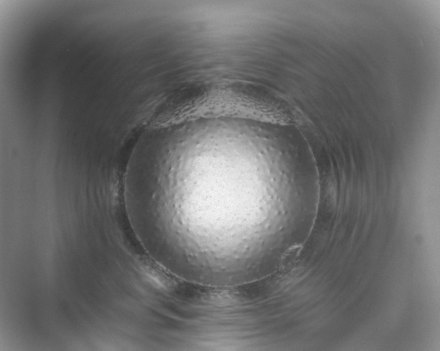 X0000076080668200609291252