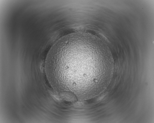 X0000076080671200609291252